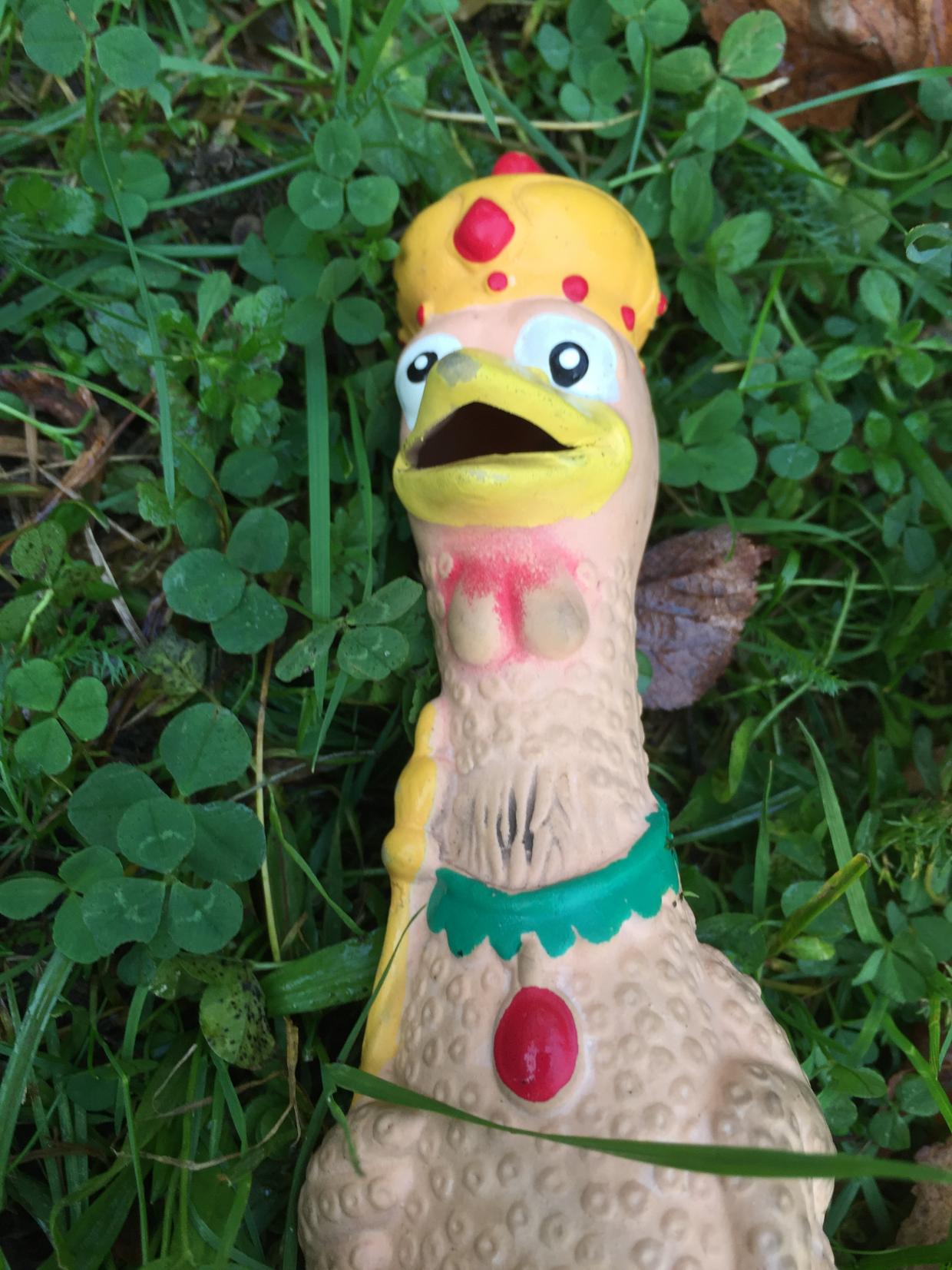 Horst, das Gummihuhn, im Gras.