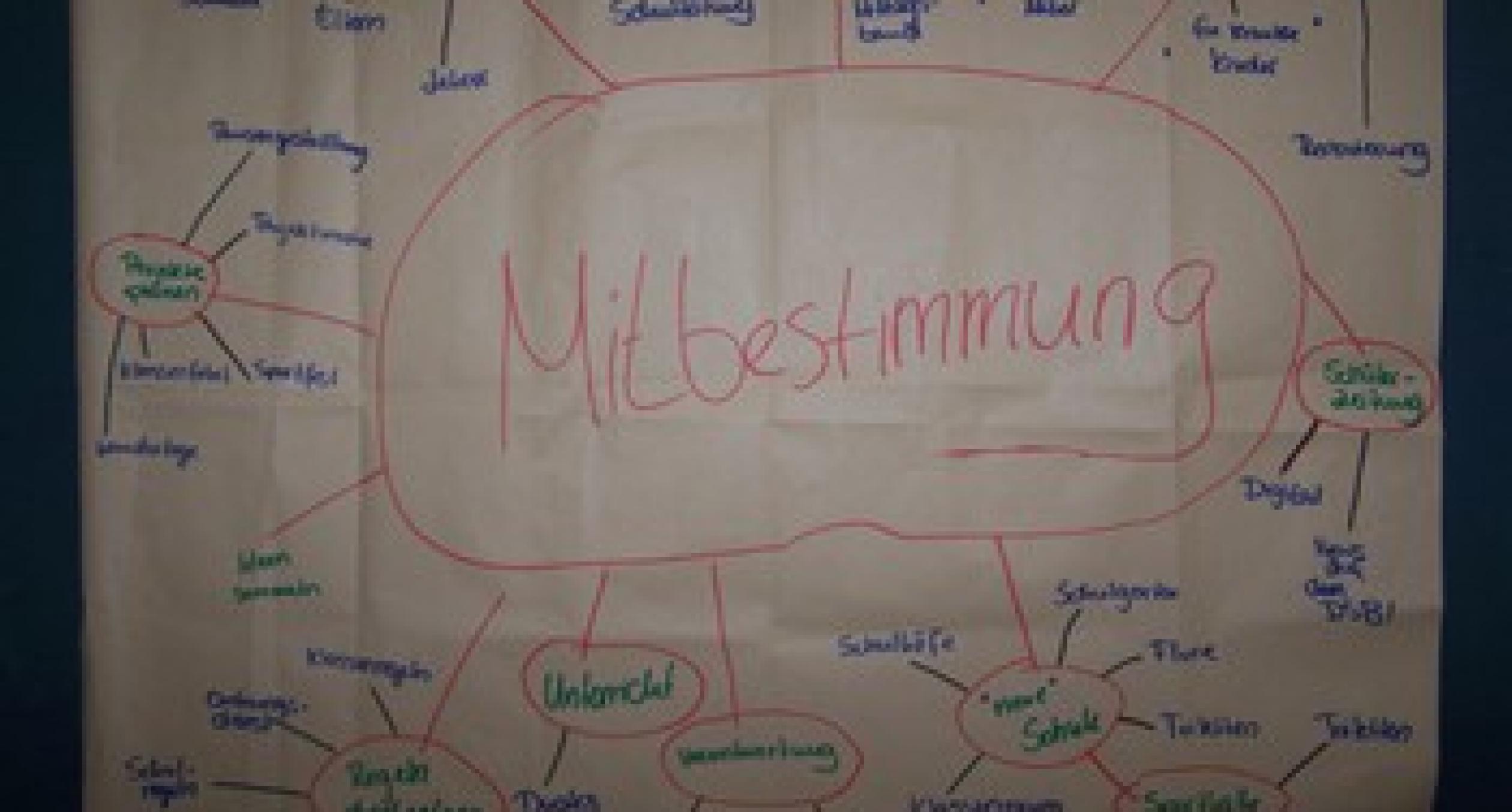 „MitMischen possible“ - Mitbestimmung und Interessenvertretung